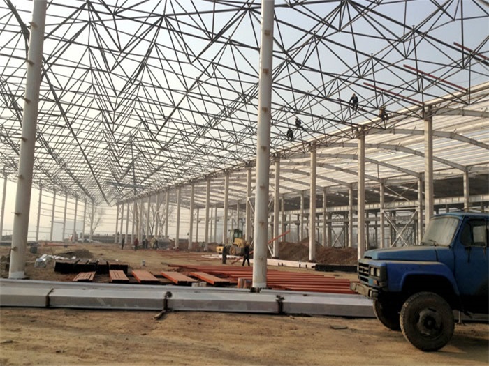 麻城网架架构工程